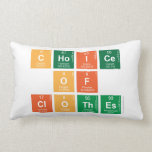 choice
 of
 clothes  Pillows (Lumbar)