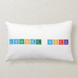 Awesome Work  Pillows (Lumbar)