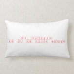 My favorite 
 band is she wants revenge  Pillows (Lumbar)