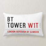 BT TOWER  Pillows (Lumbar)
