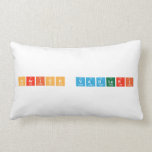 Harish vadluri  Pillows (Lumbar)