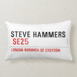 steve hammers   Pillows (Lumbar)