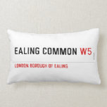 Ealing Common  Pillows (Lumbar)