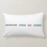 Periodic Table of Disney  Pillows (Lumbar)