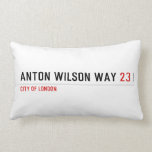 Anton Wilson Way  Pillows (Lumbar)