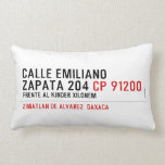 CALLE EMILIANO  ZAPATA 204  Pillows (Lumbar)