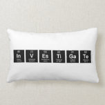 INVESTIGATE  Pillows (Lumbar)