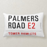 Palmers  rOAD  Pillows (Lumbar)
