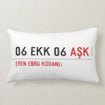 06 ekk 06  Pillows (Lumbar)