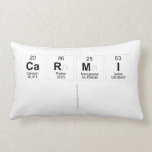 Carmi
   Pillows (Lumbar)