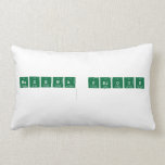 Nashwa farouk
   Pillows (Lumbar)