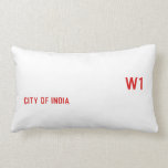Rayyan Raza  Pillows (Lumbar)