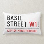 Basil Street  Pillows (Lumbar)