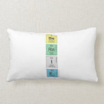 Be
 Rn
 I
 E  Pillows (Lumbar)