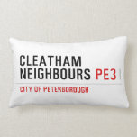 Cleatham  Neighbours  Pillows (Lumbar)