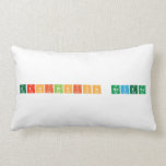 exhibicion noveno  Pillows (Lumbar)
