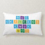 Feliz
 Cumpleanos
 Analia
 teamo  Pillows (Lumbar)