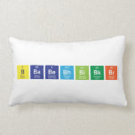 bbabebhbibkbr  Pillows (Lumbar)