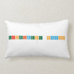 EXPERIMENT STATION
   Pillows (Lumbar)
