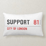 Support   Pillows (Lumbar)