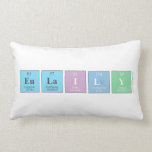 Eulaily  Pillows (Lumbar)