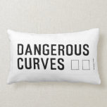 DANGEROUS  CURVES 😉  Pillows (Lumbar)
