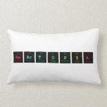 REACTOPIA  Pillows (Lumbar)