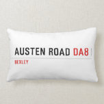 Austen Road  Pillows (Lumbar)