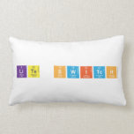 Lite Switch  Pillows (Lumbar)