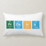 Prosha  Pillows (Lumbar)