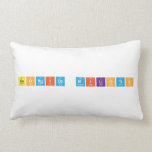Georgios MIliotis  Pillows (Lumbar)