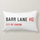 Barr Lane  Pillows (Lumbar)