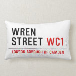 Wren  Street  Pillows (Lumbar)