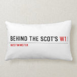 Behind the scot's  Pillows (Lumbar)