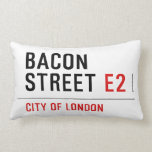 Bacon Street  Pillows (Lumbar)