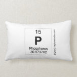 p  Pillows (Lumbar)