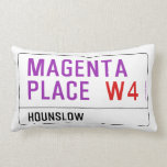 Magenta Place   Pillows (Lumbar)
