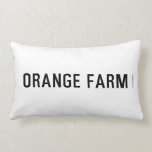 ORANGE FARM   Pillows (Lumbar)