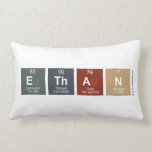 Ethan  Pillows (Lumbar)