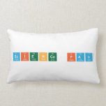 Science Fair  Pillows (Lumbar)