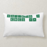 QUÍMICA 3
 GRADO 10
 
 
 
   Pillows (Lumbar)