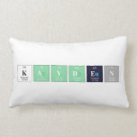 Kayden  Pillows (Lumbar)