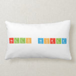 Hello world  Pillows (Lumbar)