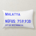 MALATYA  NÜFUS: 759.930  Pillows (Lumbar)