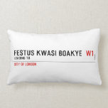 FESTUS KWASI BOAKYE   Pillows (Lumbar)