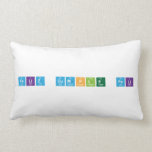 feliz cumple feli  Pillows (Lumbar)