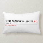 ALENA GRISHCHEVA  STREET  Pillows (Lumbar)