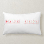 RAHIL KHAN
   Pillows (Lumbar)