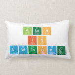 Allan
 is
 Awesome  Pillows (Lumbar)