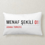 menaf Şekİlİ  Pillows (Lumbar)